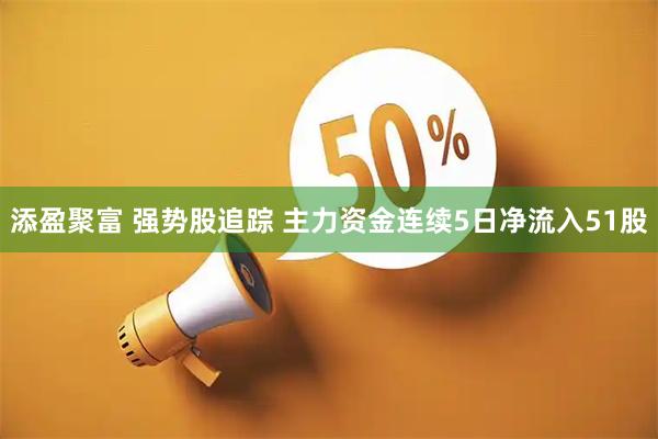 添盈聚富 强势股追踪 主力资金连续5日净流入51股