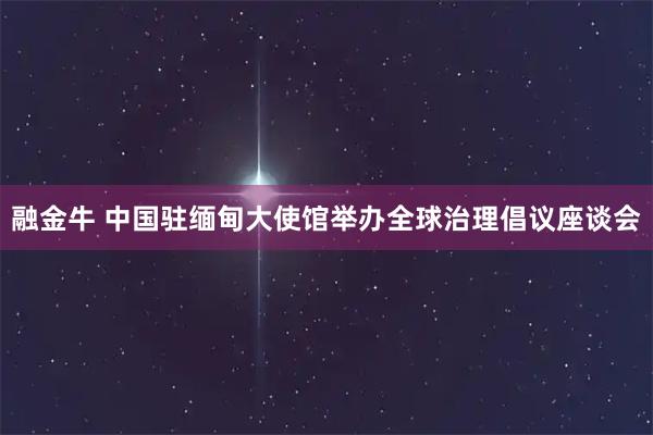 融金牛 中国驻缅甸大使馆举办全球治理倡议座谈会
