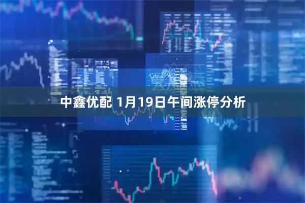 中鑫优配 1月19日午间涨停分析