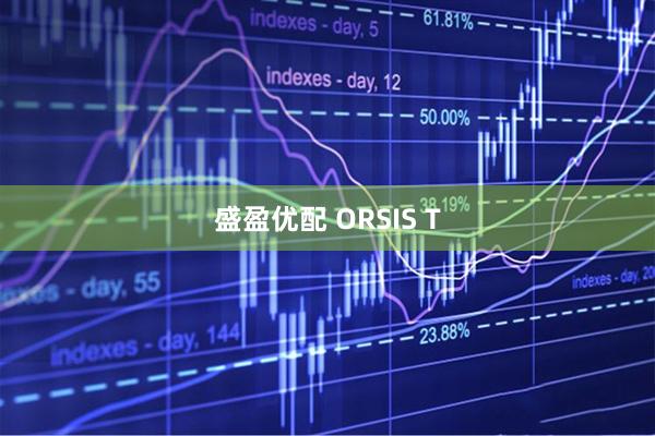 盛盈优配 ORSIS T