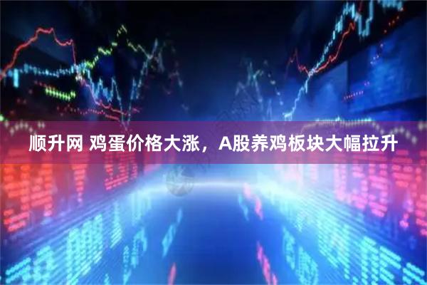顺升网 鸡蛋价格大涨，A股养鸡板块大幅拉升
